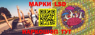 мдпв Гусев